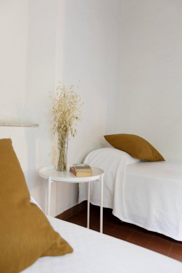 Razza Del Casalone Guest House โกรเซตโต ภายนอก รูปภาพ